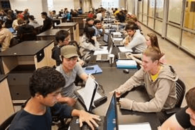 Training & Placement Cell